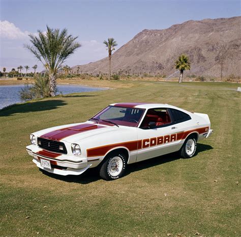 6 12 1978 Ford Mustang king cobras wanted by 1978kingcobra Feb 2, 2020 1955. . 1978 ford mustang cobra for sale